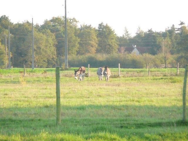 Balthazar et leonard Arrivee (30).jpg